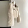 Kvinnors pälsskinnjacka Autumn Furry Faux Coats Jackor Kvinnor Fluffy Top Coat Short Winter Lady Streetwear