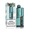 Original PunkApes PA9000 E-cigarette jetable bonne qualité offre spéciale Vapes cuir 600 mAh type-c Charge ELFWORLD RandM
