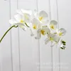 Flores decorativas com padrão de 9 cabeças Phalaenopsis Simulação Flor Decoração de casa Silicone Algodão Sinta Grande Orquídea