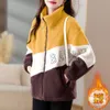 Manteau polaire d'agneau pour femme, nouvelle Version coréenne, pull ample et épais en peluche, veste polyvalente en peluche, automne et hiver 2023