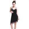 Stage Wear Sexy Backless Adult Salsa Latin Dance Dress Skating Performance Dresses Tassel Polyester For Women 7 Colors Custom Size