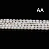 Charms Natural Freshwater Pearl Beads High Quality Rice Shape Punch Loose Beads for Jewelry Making Diy Necklace Bracelet Accessories