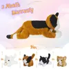 50 cm süße Katzenpuppe, Plüschspielzeug-Set, weiches Kätzchen, Geburtstagsgeschenk, Kissen, 5-teiliges Set, Kuscheltiere für Mädchen, Kinder, Kinder 231220