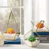 Bouteilles 12 24 cm cadre en métal verre maison vase décoration de la maison or carré style vie éternelle fleur boîte-cadeau mariage bricolage accessoire