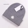 2023 Designer Bonnet Lettre classique Bonnet tricoté Caps pour hommes Femmes Automne Hiver Chaud Épais Laine Broderie Chapeau Froid Couple Mode Street Chapeaux