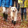 Hundkläder 4 datorer husdjursko täcker ensam skyddare katt varma skor håller utomhus vinterduk reflekterande skor snöskor snöskor