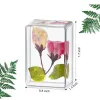 Pressed Flower Paperweight Science Discovery Real Flowers Specimen Collection Samples in Resin Paper Weights Cube for Kids Party Favors ZZ