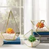 Botellas 12 24 cm marco de metal florero de cristal decoración del hogar estilo cuadrado dorado vida eterna caja de regalo de flores boda DIY Prop