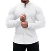 Camisa informal para hombre, ajustada, microelástica, manga larga, cómoda, versátil, con cuello alto, camisas, camisa de vestir para hombre 231220