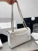 Çapraz Vücut Çantaları Elde Taşınan Kadın Çantası 2023 Yeni Basit Moda Zinciri Küçük Rüzgar Bir Omuz Crossbody Çanta Küçük Kare Çantalar 33STYLISHYSLBAGS