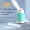 Gezichtsverzorgingsapparaten Steamer Spray Mist Home Sauna SPA Schoonheidsinstrument Hydraterende huid 231219