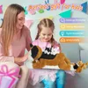 50 cm süße Katzenpuppe, Plüschspielzeug-Set, weiches Kätzchen, Geburtstagsgeschenk, Kissen, 5-teiliges Set, Kuscheltiere für Mädchen, Kinder, Kinder 231220