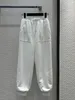 Due pantaloni 2024 Nuova primavera colletto alla coreana manica lunga tute da donna stampa top marca stesso stile designer set da 2 pezzi
