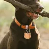 Collares para perros 3 PCS Etiquetas de identificación de nombre de la etiqueta de la tapa mascota en blanco para perros mascotas de madera en forma de cabeza