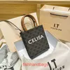 Sac à main en cuir de créateur de mode Cellins Luxury Triomphe Triumphal Vertical Tote Bag Womens 2023 Nouvelle main de haute qualité de Lading avec logo original