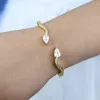 Bracelet à eau bracele cot bracettes bracelets réglables pavés goutte à crue cubique zirconi gol
