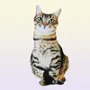 50cm LifeLike Plush Cat Pillow محشو ثلاثي الأبعاد بطبة قطط القطة رمي وسادة المنزل هدية للسيارة الناس 2203049048719