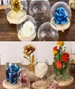 Overige Home Decor 1 Stuks Bolvormige Glazen Cloche Pot Display Stand Cover Terrarium Fles Met Houten Basis Acryl Stofdoos bloem1803700