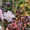 3Dプリンティング小さな肌ユリの花の高さシミュレーションフラワーウェディングシーンレイアウトホームリビングルームの装飾装飾外国貿易