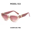 the Latest Fashionable Cat Eye Small V Shaped Gold Decorated PC Frame Stripes Personality Party Catwalk Glamor Trendy Womens Sunglasses