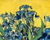 Canvas drukuje grafika giclee do dekoracji ściennej, klasyczny Van Gogh grafika malarstwo reprodukcja gwiaździsta noc Płótna sztuka zdjęcie zdjęcie do dekoracji sztuki ściennej