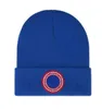 Stick Caps Luxury Beanie Fall Winter Men's and Women's Cashmere Classic Embroidery Outdoor Ladies Beanies Hat R-10