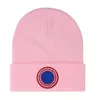 Knit Caps Luxury beanie Fall Winter Men's and Women's Cashmere classic embroidery Outdoor Ladies Beanies Hat R-10