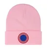 Stick Caps Luxury Beanie Fall Winter Men's and Women's Cashmere Classic Embroidery Outdoor Ladies Beanies Hat R-10