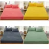 Coral Velvet Bedlaheet Bedstraste Milk Velvet Madrass Protective Cover Winter Plush Isolation Beddrag 231221