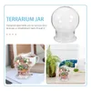 Vasi Transparent Ecological Bottle Glass Plant Dome Microlandscape Terrarium Contenitore