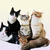 Cuscino per gatti in peluche realistico da 50 cm imbottito con stampa 3D animale cuscino per gatti decorazione della casa regalo per auto persone 2203041298452