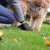 50 rotoli di sacchetti per cacca di cane con dispenser per ossa, sacchetti per rifiuti per animali domestici, dispenser per trasportini da esterno, inodore, strumenti per la raccolta pulita, accessori per animali domestici