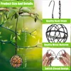 Andra fågelförsörjningar 4 Pack Suet Ball Feeder Set Metal Feeding Station Kit med hängande kedjeekorre Proof matare för utanför