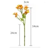 Dekorativa blommor kamomillsimulering Flower Daisy Small Fresh Home Decoration Chrysanthemum Forest Series Wedding