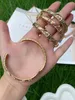 3st Fashion Gold Plated Rainbow Bangles Trend CZ Zircon Armband för kvinnor Vintage Luxury Party Gift SMycken 231221