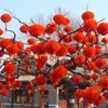 6 pouces Lanterne en papier rouge traditionnel chinois pour le Nouvel An Décoration de Noël suspendre les lanternes du festival imperméable 293b