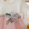 Girl's Dresses Toddler Girl Tutu Dress Summer Fashion Short Sleeve Princess Dress Cute Flower Girl Wedding Dress