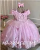 Cute Pink Baby Girl Dresses Lace Pearls 3D Butterflies Toddler Pageant Gowns Little Birthday Dress First Communion 231221