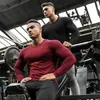 Herren-T-Shirts Frühling Herbst Slim Fit Cotton Fitness Langarm T-Shirt Männer Sport T-Shirt O-Neck Running Tee Shirt Gym Bodybuilding T-Shirtl2312.21