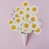 Fiori decorativi 500pcs pressati margherita secca Chrysanthemum paludosum fiore per nail art epossidico resina a pendente a pendente gioiello che produce artigianato