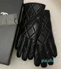 Designer gants en cuir d'hiver pour femmes