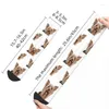 Chaussettes pour hommes hiver chaud design fou femmes hommes mignon Yorkie Yorkshire Terrier chien animal chiot sueur absorbant football