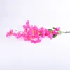 装飾的な花Bougainvilleaは、結婚式の段階の花の飾り家などに使用できます。