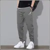 Pantalon Cargo mi-hauteur avec cordon de serrage pour hommes, ample, pleine longueur, taille élastique, poche, Jogging de nuit, 231220