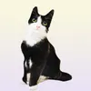 50cm LifeLike Plush Cat Pillow محشو ثلاثي الأبعاد بطبة قطط القطة رمي وسادة المنزل هدية للسيارة الناس 2203049048719