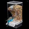 Andere Vogelversorgungen keine Messfuttermittel Automatische Papageien -Feedertrinker -Acrylsamen -Samen -Lebensmittelbehälter Käfigzubehör für kleine und mittelgroße