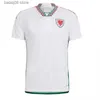 Fãs Tops Tees 2022 Wales Soccer Jersey 22/23 Home Red Allen Bale Ramsey Camisa Equipe Nacional James Wilson Brooks Giggs Away Football Uniform