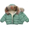 Piumino 1 2 3 4 5 6 anni Neonate Plus Velluto Caldo Inverno Giacca per bambini Moda Collo in pelliccia Con cappuccio Capispalla per bambini Abbigliamento