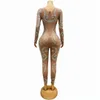 Sparkly Rhinestones Nude Transparent Nightclub Jumpsuit Long Sleeve Stretch Mesh Pole Dance Skinny Leotard Singer Stage Costume