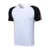 23 24 Nieuw seizoen voetbal shirts training jas mannen t -shirt originele producten voetbal kits sportkleding volwassen voetbal jerseys kits training shirts juventus kits